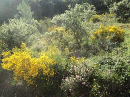 Promenade en pleine nature, le 15 mai 2016