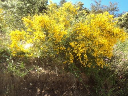 Promenade en pleine nature, le 15 mai 2016