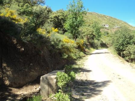 Promenade en pleine nature, le 15 mai 2016