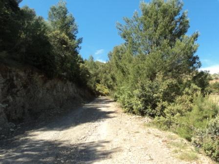 Promenade en pleine nature, le 15 mai 2016
