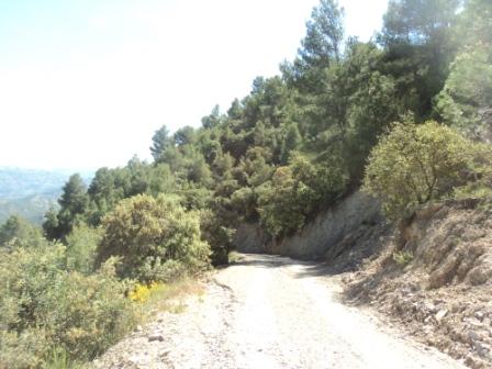 Promenade en pleine nature, le 15 mai 2016