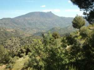 Promenade en pleine nature, le 15 mai 2016