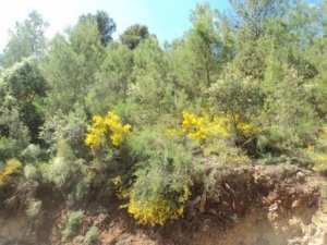 Promenade en pleine nature, le 15 mai 2016