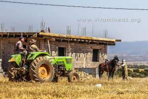 Traditions pastorales - Waada de Ain Youcef (Daïra de Remchi - Tlemcen)
