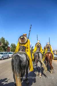 Cavaliers - Waada de Ain Youcef (Daïra de Remchi - Tlemcen)