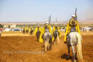 3alfa (cavalerie) - Waada de Ain Youcef (Daïra de Remchi - Tlemcen)