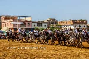 Fantasia - Waada de Ain Youcef (Daïra de Remchi - Tlemcen)