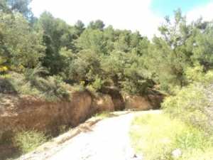 Promenade en pleine nature, le 15 mai 2016