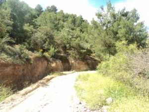 Promenade en pleine nature, le 15 mai 2016
