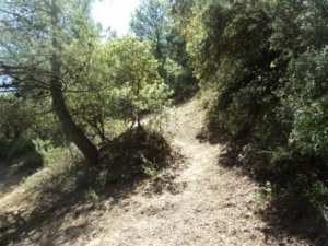 Promenade en pleine nature, le 15 mai 2016