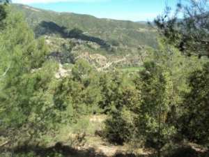 Promenade en pleine nature, le 15 mai 2016