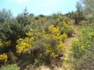 Promenade en pleine nature, le 15 mai 2016