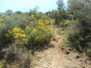 Promenade en pleine nature, le 15 mai 2016