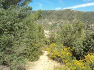 Promenade en pleine nature, le 15 mai 2016