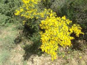 Promenade en pleine nature, le 15 mai 2016
