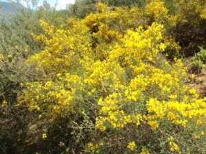 Promenade en pleine nature, le 15 mai 2016
