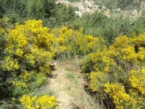 Promenade en pleine nature, le 15 mai 2016