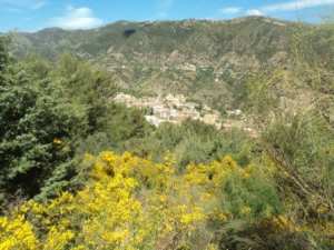 Promenade en pleine nature, le 15 mai 2016