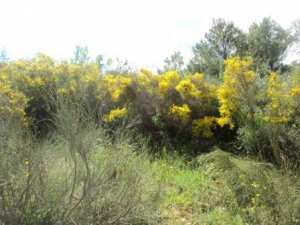 Photo prise à Lemroudj le 15 mai 2016