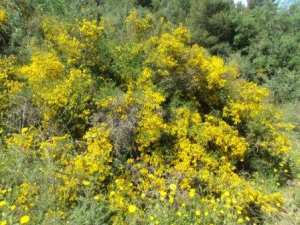 Promenade en pleine nature, le 15 mai 2016