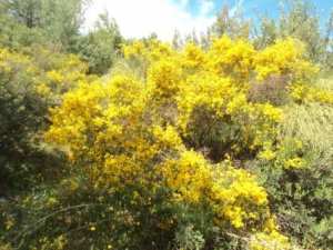 Promenade en pleine nature, le 15 mai 2016