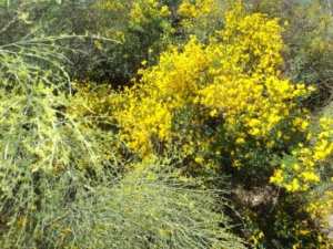 Promenade en pleine nature, le 15 mai 2016