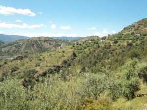 Promenade en pleine nature, le 15 mai 2016