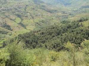 Promenade en pleine nature, le 15 mai 2016