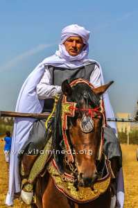 Cavalier arabe - Waada de Ain Youcef (Daïra de Remchi - Tlemcen)