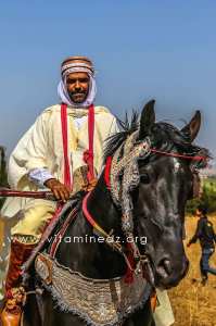 Cavalier arabe - Waada de Ain Youcef (Daïra de Remchi - Tlemcen)