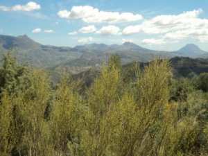 Promenade en pleine nature, le 15 mai 2016