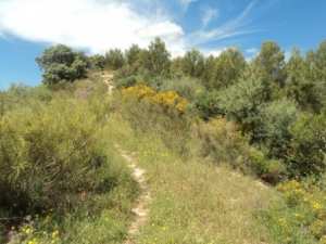 Promenade en pleine nature, le 15 mai 2016