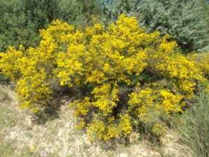 Promenade en pleine nature, le 15 mai 2016