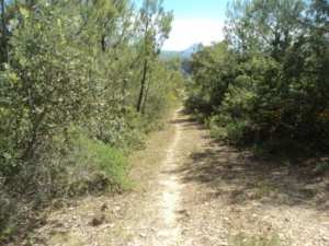 Promenade en pleine nature, le 15 mai 2016