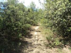Promenade en pleine nature, le 15 mai 2016