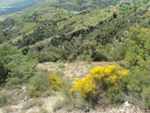 Promenade en pleine nature, le 15 mai 2016