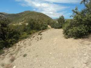Promenade en pleine nature, le 15 mai 2016