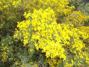 Promenade en pleine nature, le 15 mai 2016