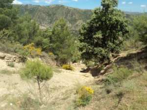 Promenade en pleine nature, le 15 mai 2016