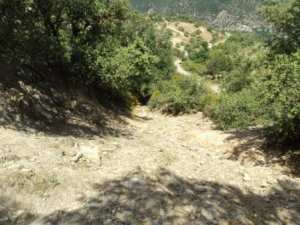Promenade en pleine nature, le 15 mai 2016