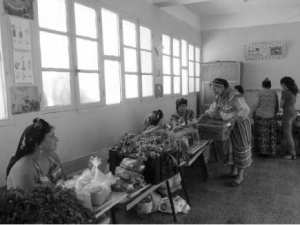 Tizi Ouzou - Fête des cultivatrices d’Aït Ouabane