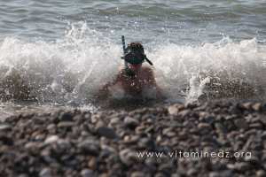 Baignade Plage de Malousse (W. Ain Temouchent)