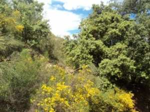 Promenade en pleine nature, le 15 mai 2016