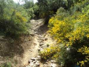 Promenade en pleine nature, le 15 mai 2016