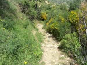 Promenade en pleine nature, le 15 mai 2016