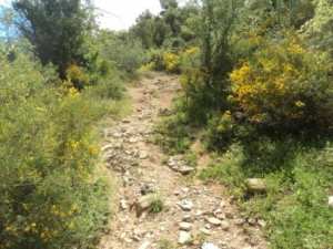 Promenade en pleine nature, le 15 mai 2016