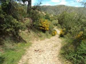Promenade en pleine nature, le 15 mai 2016