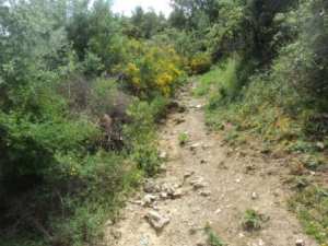 Promenade en pleine nature, le 15 mai 2016