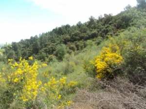 Promenade en pleine nature, le 15 mai 2016