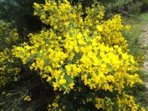 Promenade en pleine nature, le 15 mai 2016